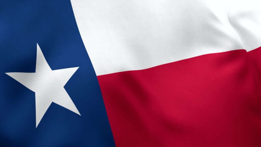 Texas State Flag Close-Up